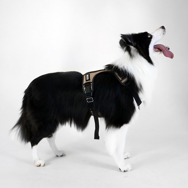 BOSS（ボス）ハーネス / Dog Essentials Harness