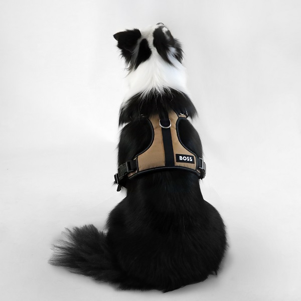 BOSS（ボス）ハーネス / Dog Essentials Harness