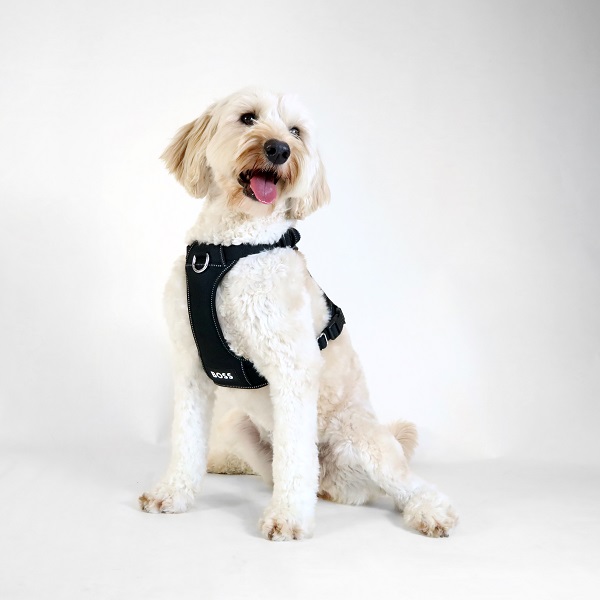 BOSS（ボス）ハーネス / Dog Essentials Harness