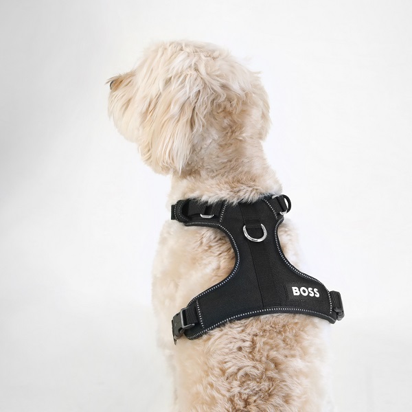 BOSS（ボス）ハーネス / Dog Essentials Harness