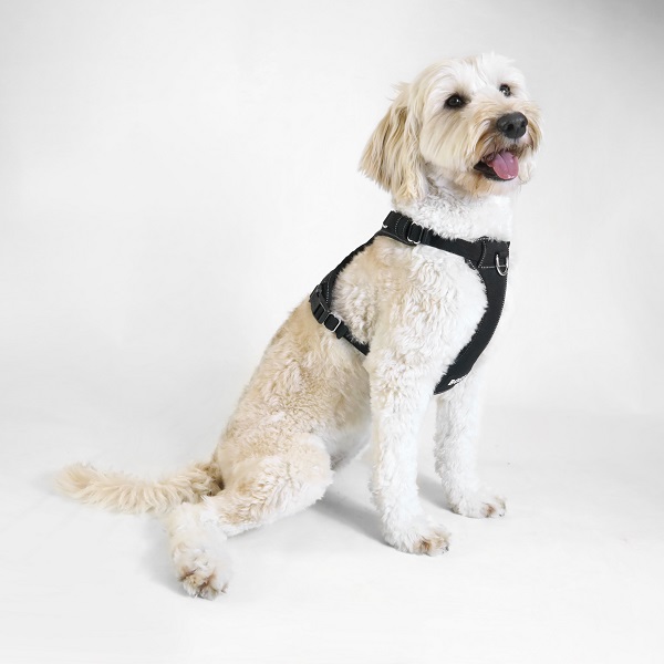 BOSS（ボス）ハーネス / Dog Essentials Harness