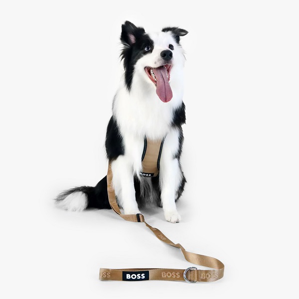 BOSS（ボス）リード / Dog Essentials Leash