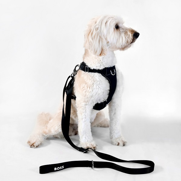 BOSS（ボス）リード / Dog Essentials Leash