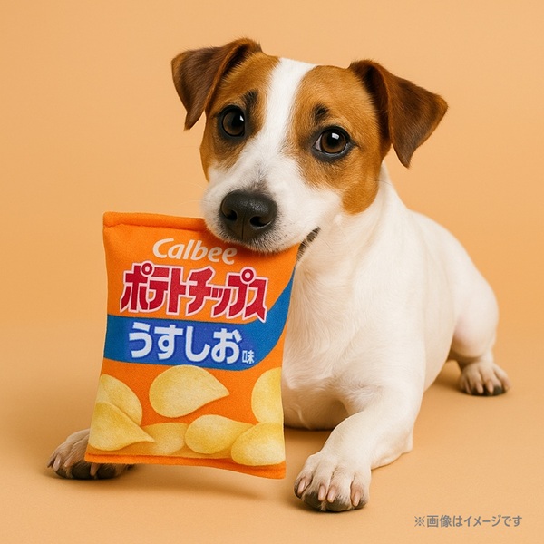 なき笛おもちゃ カルビー ポテトチップス うすしお味