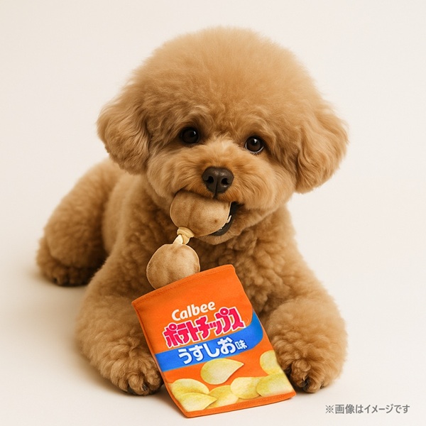 飛びでるおもちゃ カルビー ポテトチップス うすしお味
