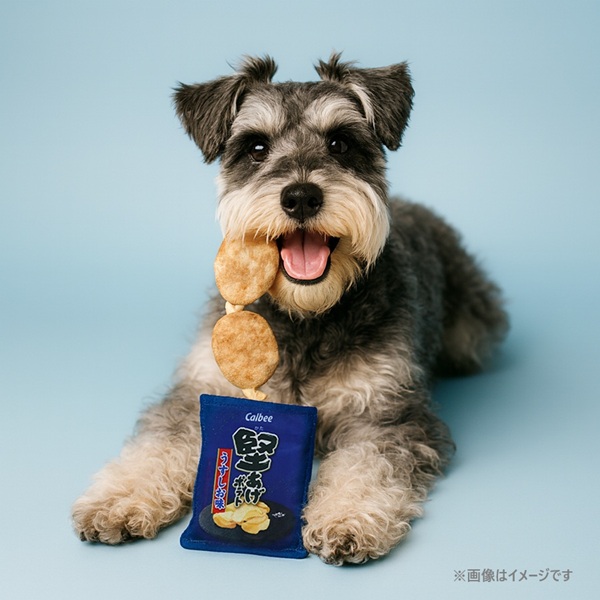 飛びでるおもちゃ カルビー 堅あげポテト うすしお味