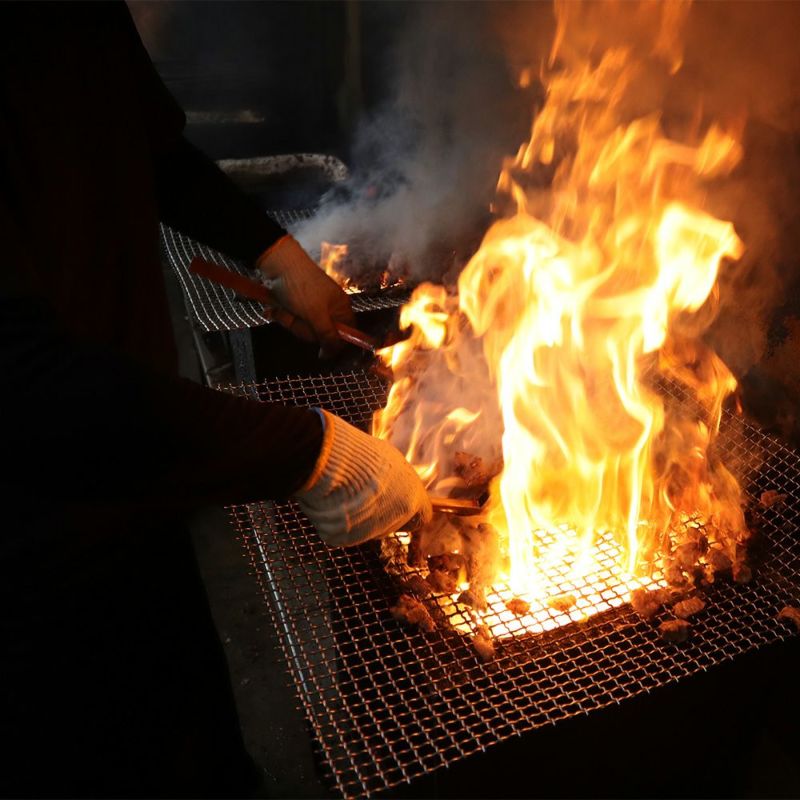 ドットわん 炎の炭火焼き九州若鶏 30g