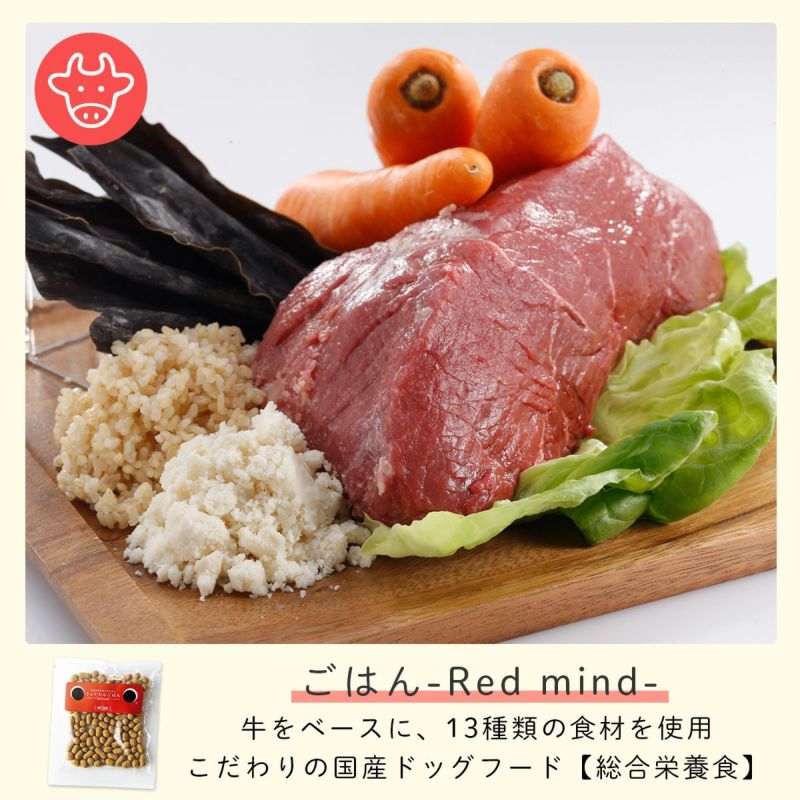 ドットわんごはん Red mind 500g