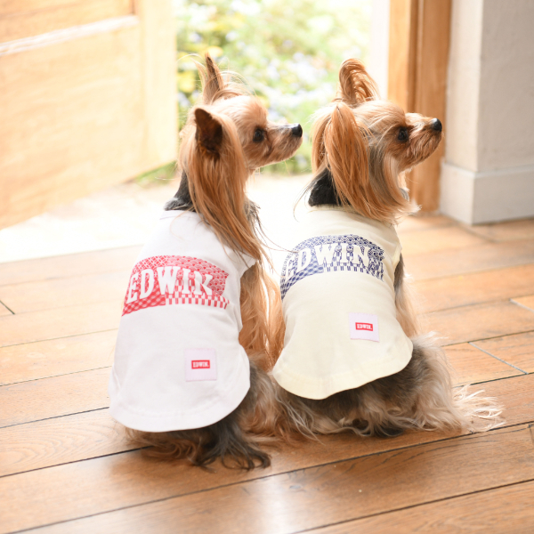 21春夏 Edwin エドウイン 和柄ロゴ タンクトップ 犬服 ドックウェアcalulu カルル 21春夏 Edwin エドウイン 和柄ロゴ タンクトップ 犬服 ドックウェアcalulu カルル