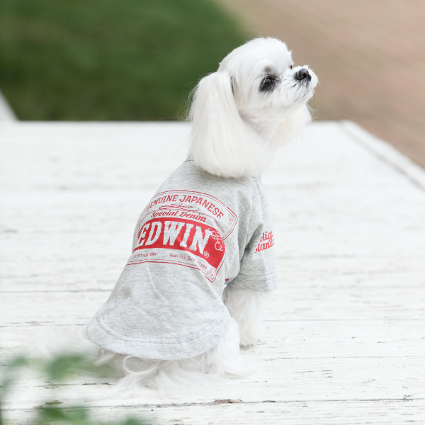 2021春夏】EDWIN（エドウイン）ロゴ Tシャツ | 犬服・ドックウェア 