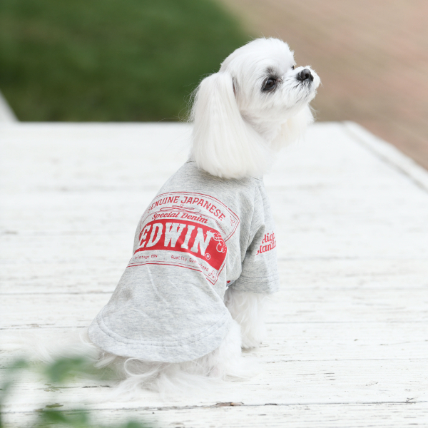 EDWIN（エドウイン）ロゴ Tシャツ※グレーのみ