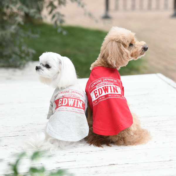 EDWIN（エドウイン）ロゴ Tシャツ※グレーのみ