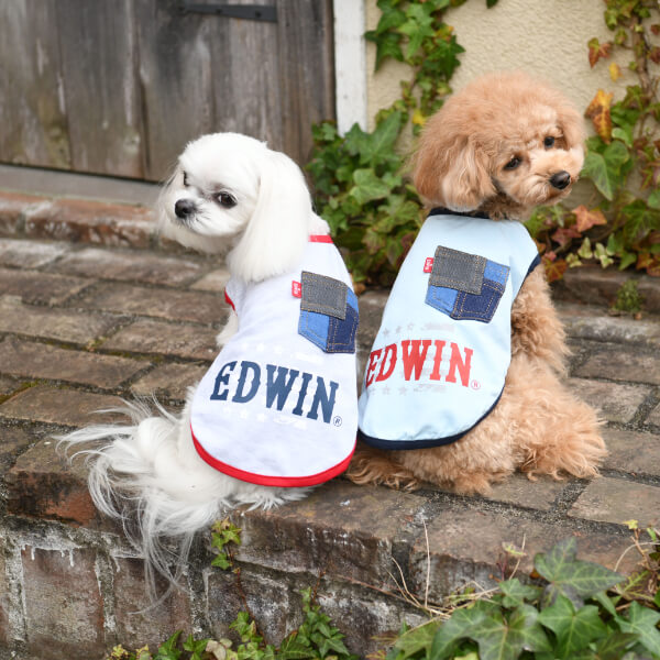 【2021春夏】EDWIN（エドウイン）デニムポケット タンクトップ