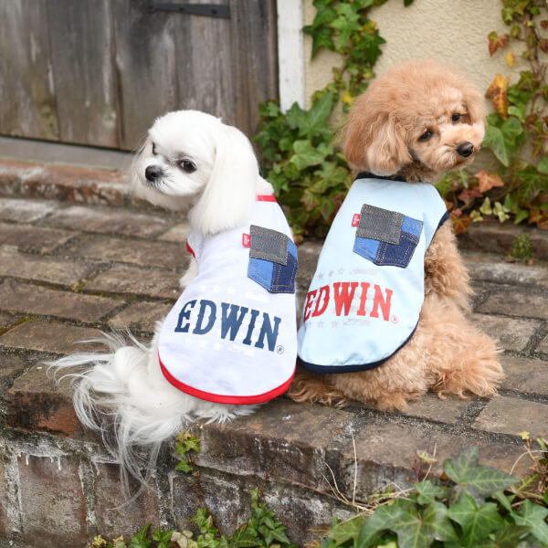 ②犬用 服(2L)新品　未使用　タグ付き　EDWIN（エドウイン）デニムポケット