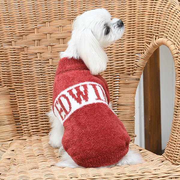 EDWIN（ エドウィン）もこもこロゴスウェット