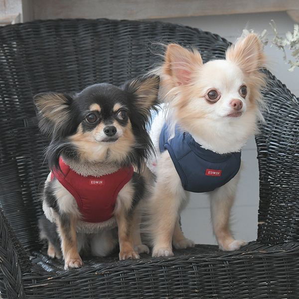 2025秋冬 EDWIN（ エドウィン）デニムポケット付切り替えフリースベスト