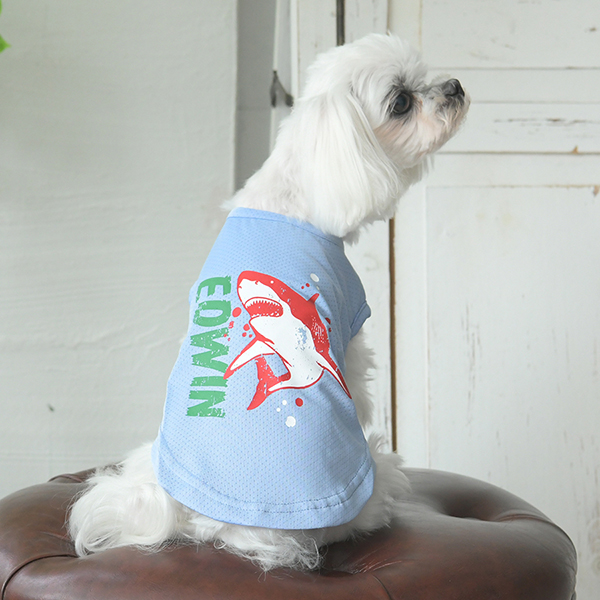 2025新商品 EDWIN（ エドウィン）シャークメッシュタンク