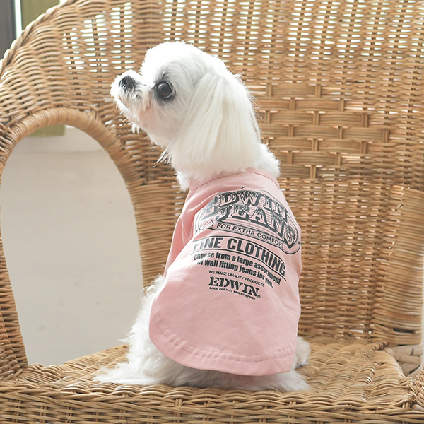 2025新商品 EDWIN（ エドウィン）ビンテージサーフTシャツ