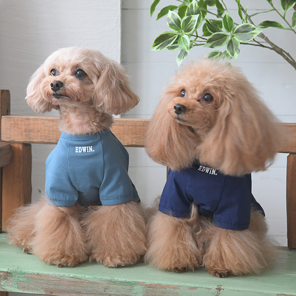 2025新商品 EDWIN（ エドウィン）藍染風タンチョウTシャツ