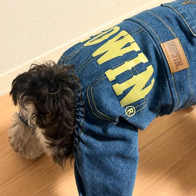 EDWIN（ エドウィン）オーバーオール