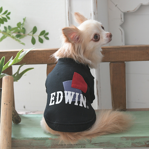 2025新商品 EDWIN（ エドウィン）パッチワークスウェット