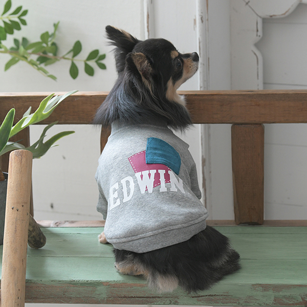 2025新商品 EDWIN（ エドウィン）パッチワークスウェット