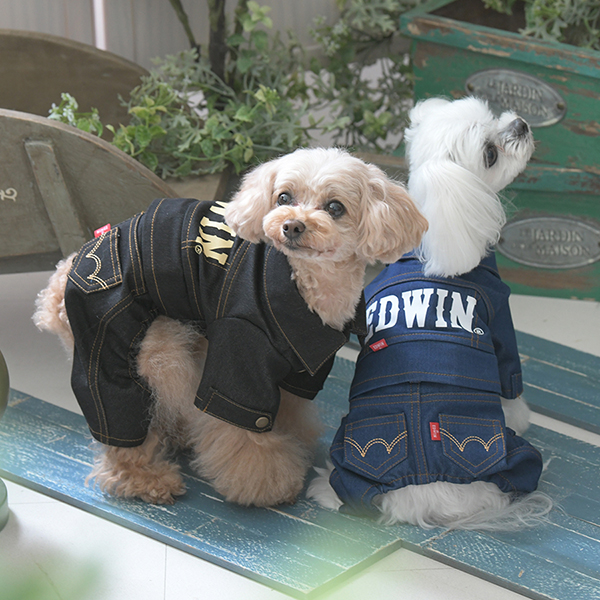 2025新商品 EDWIN（ エドウィン）デニムライクセットアップ