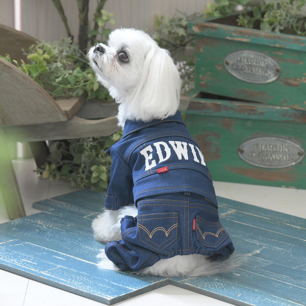 2025新商品 EDWIN（ エドウィン）デニムライクセットアップ