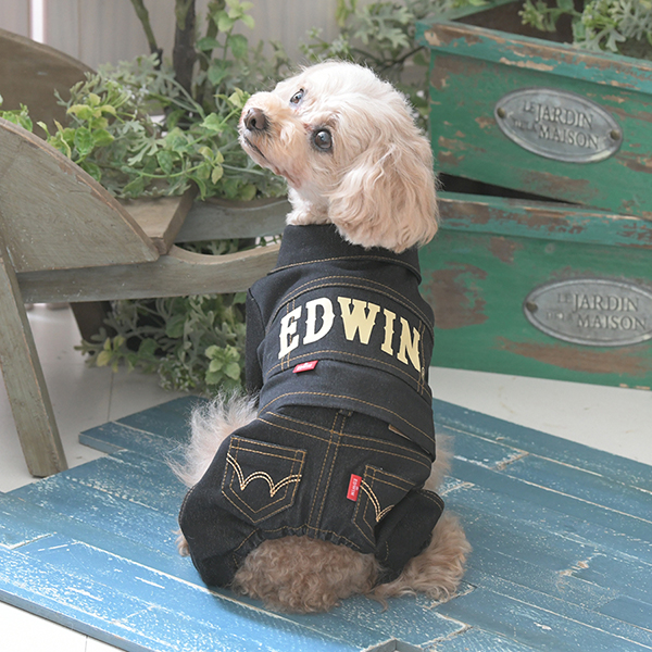 2025新商品 EDWIN（ エドウィン）デニムライクセットアップ