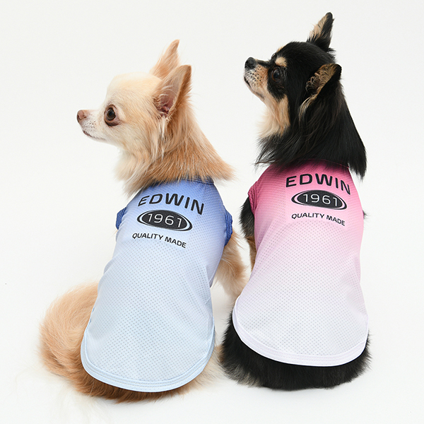 2026新商品 EDWIN（エドウィン）グラデフェードメッシュタンク