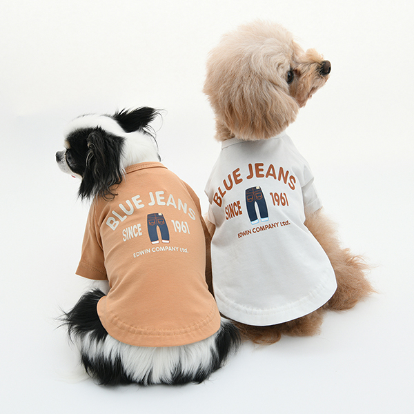 2026新商品 EDWIN（エドウィン）BLUEJEANSカジュアルT