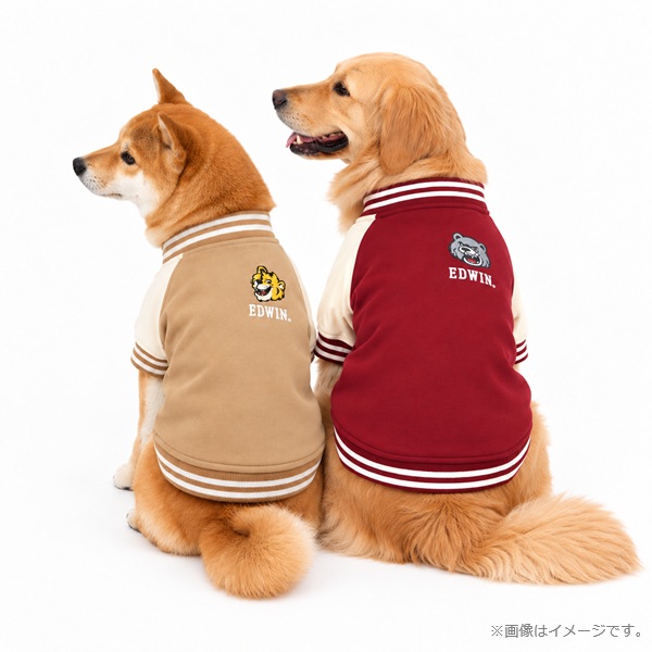 2026新商品 EDWIN( エドウィン)スタジャン風スウェット