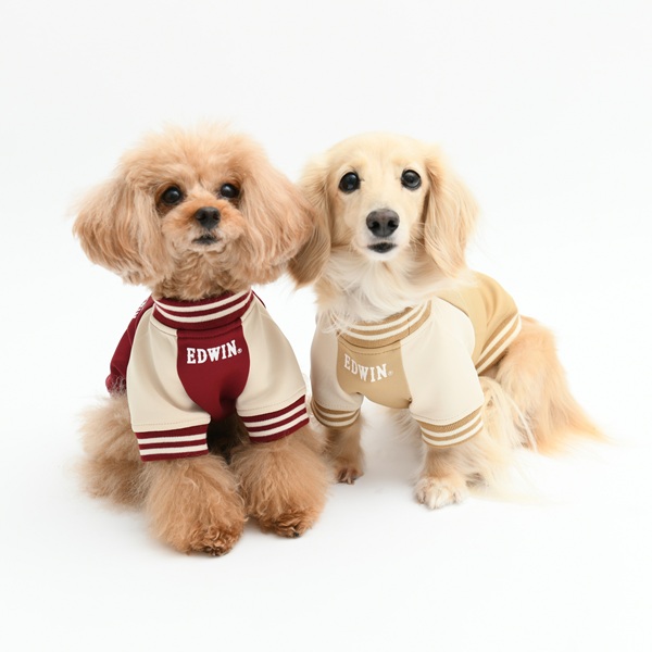 2026新商品 EDWIN( エドウィン)スタジャン風スウェット