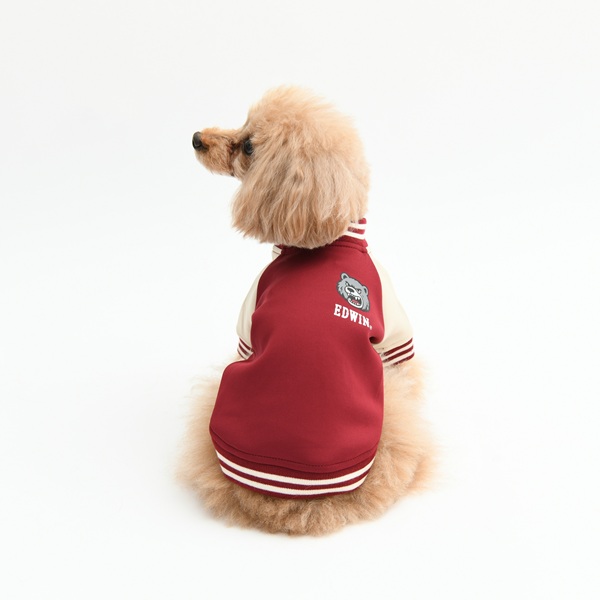 2026新商品 EDWIN( エドウィン)スタジャン風スウェット