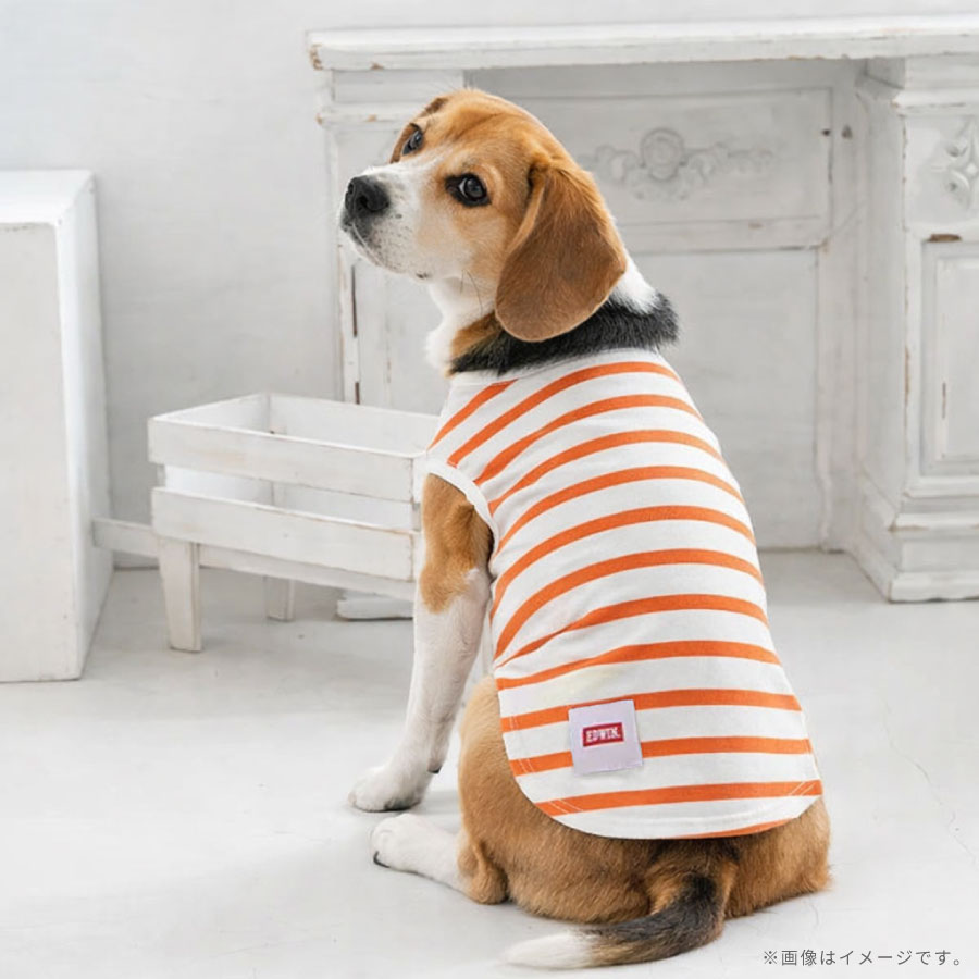 EDWIN（エドウイン）ドッグシャツ 新2色ボーダー | 全2色 | 犬服