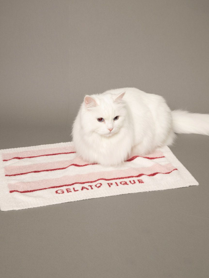 gelato pique（ジェラートピケ）【CAT&DOG】【販路限定商品】ストロベリーボーダーブランケット