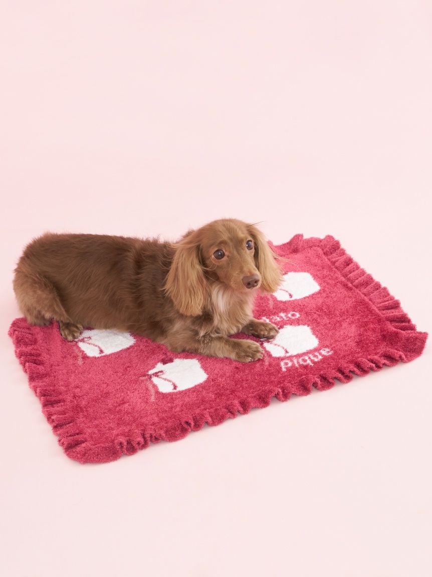 gelato pique（ジェラートピケ）【CAT&DOG】【販路限定商品】オータムケーキジャガードブランケット｜全3色