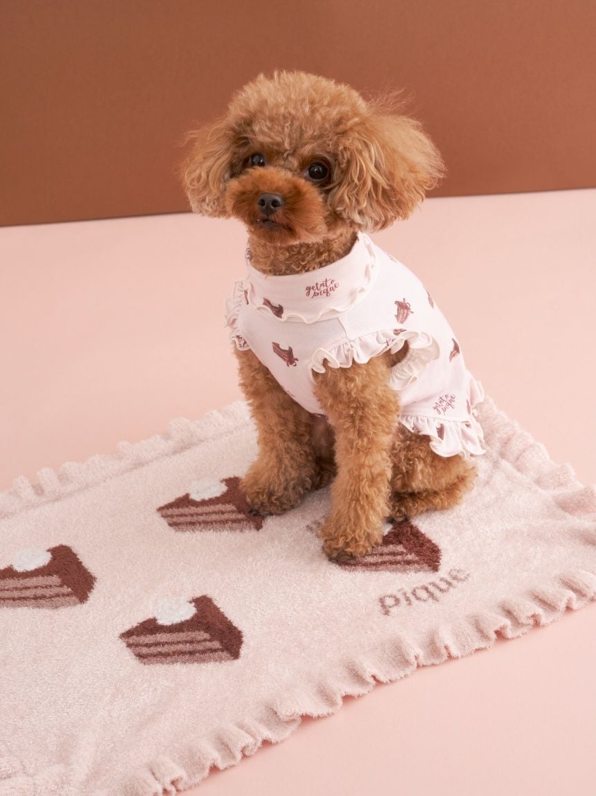 gelato pique（ジェラートピケ）【CAT&DOG】【販路限定商品】オータムケーキジャガードブランケット｜全3色