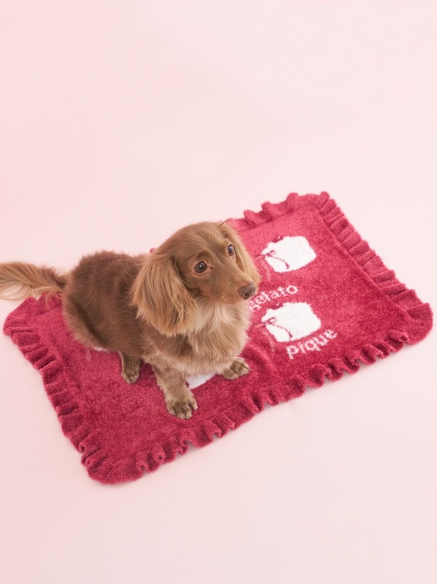gelato pique（ジェラートピケ）【CAT&DOG】【販路限定商品】オータムケーキジャガードブランケット｜全3色