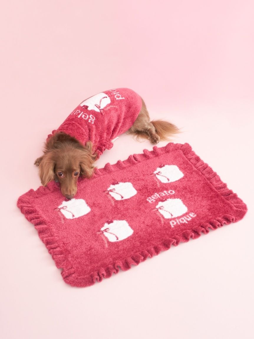 gelato pique（ジェラートピケ）【CAT&DOG】【販路限定商品】オータムケーキジャガードブランケット｜全3色