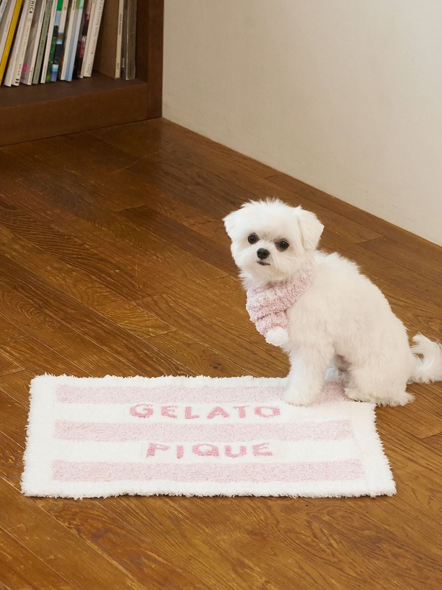 gelato pique(ジェラートピケ)【CAT&DOG】【販路限定商品】ジェラートメランジ2ボーダーブランケット|全3色