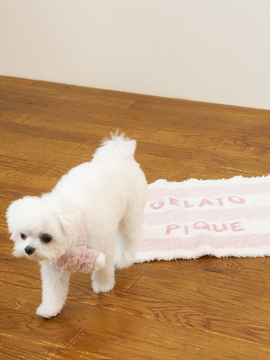 gelato pique(ジェラートピケ)【CAT&DOG】【販路限定商品】ジェラートメランジ2ボーダーブランケット|全3色