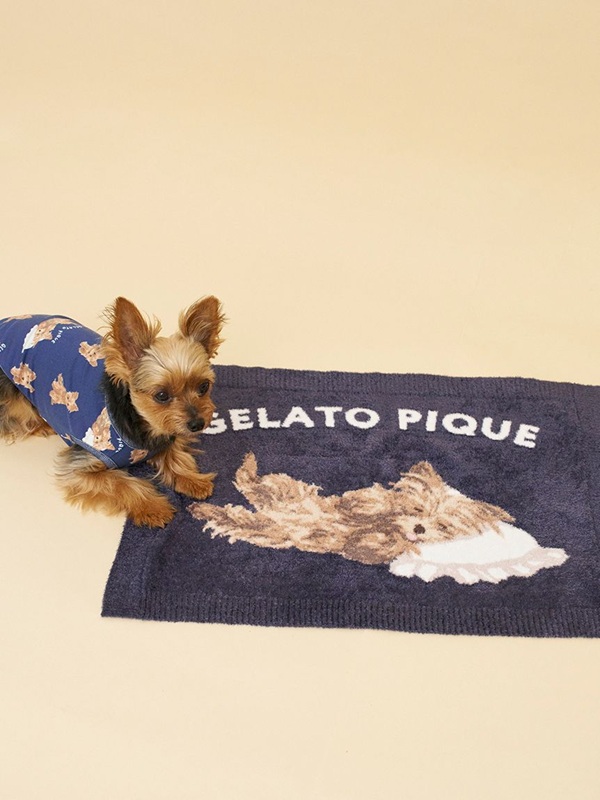 gelato pique(ジェラートピケ)【CAT&DOG】【販路限定商品】ヨークシャテリア柄ブランケット|全2色