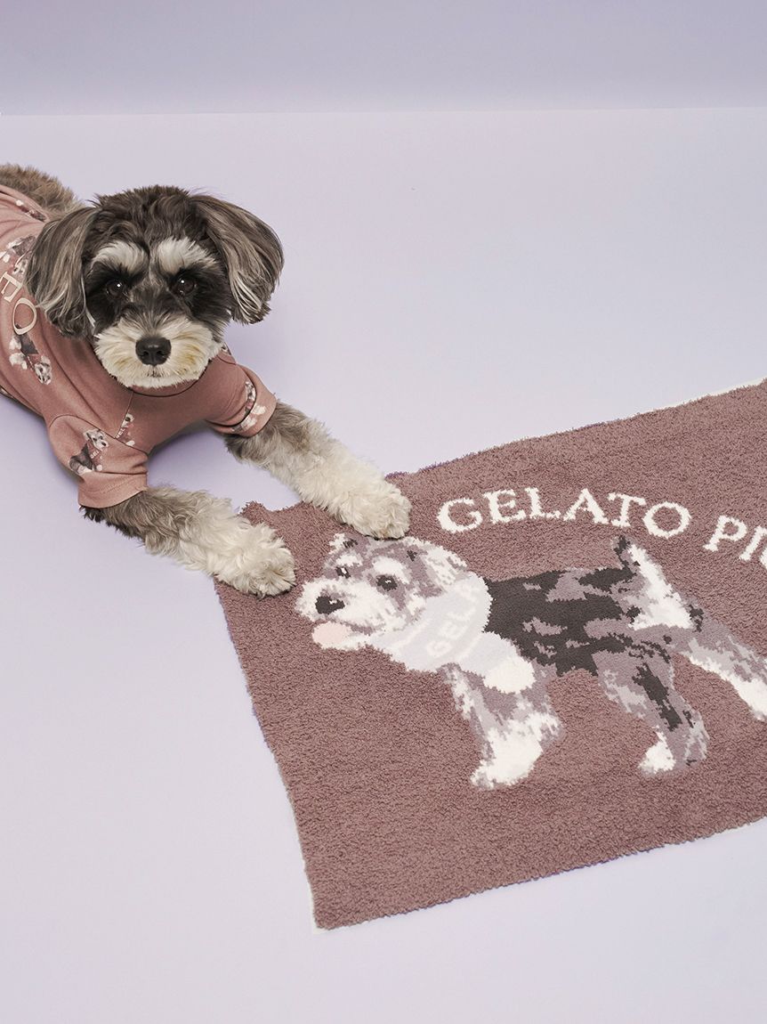 gelato pique(ジェラートピケ)【CAT&DOG】【販路限定商品】ベビモコシュナウザー柄ブランケット|全2色
