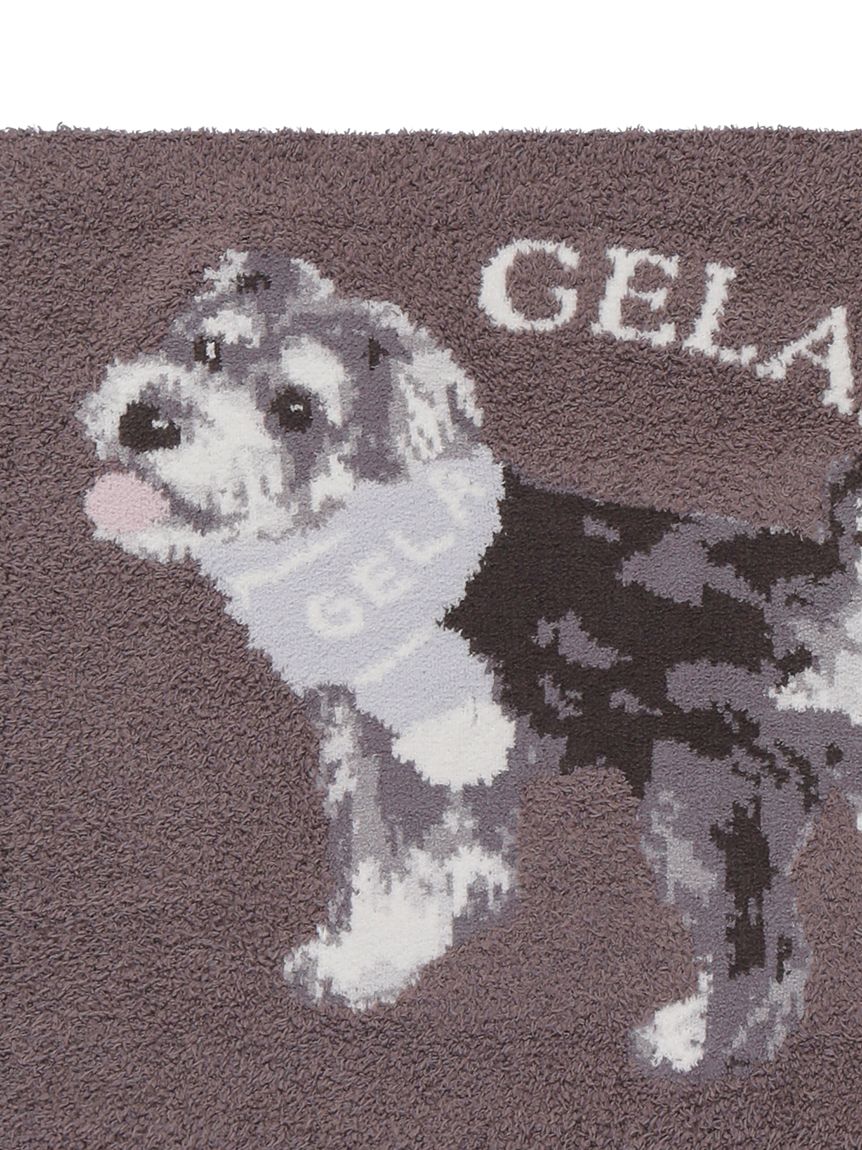 gelato pique(ジェラートピケ)【CAT&DOG】【販路限定商品】ベビモコシュナウザー柄ブランケット|全2色