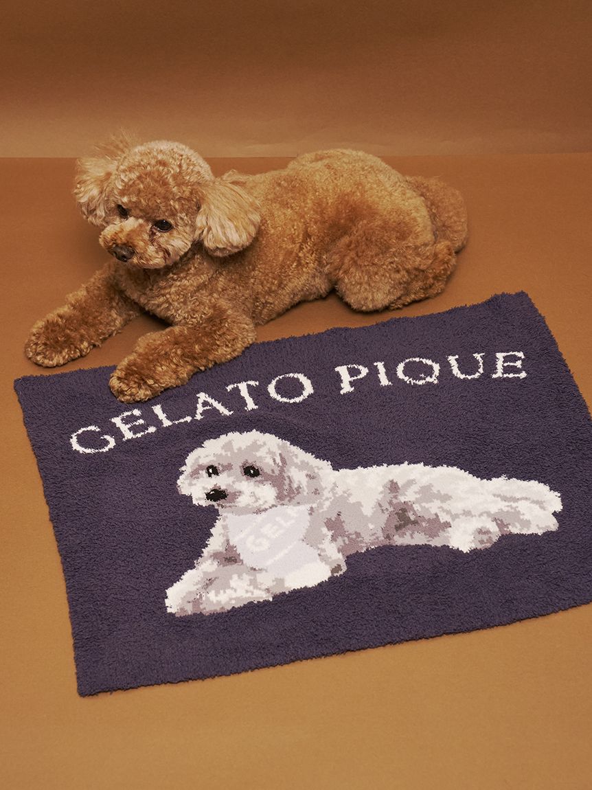 gelato pique(ジェラートピケ)【CAT&DOG】【販路限定商品】ベビモコトイプードル柄ブランケット|全2色