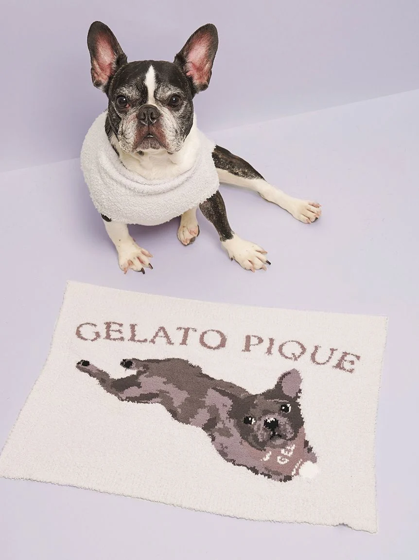 gelato pique(ジェラートピケ)【CAT&DOG】【販路限定商品】ベビモコフレンチブルドッグ柄ブランケット|全3色