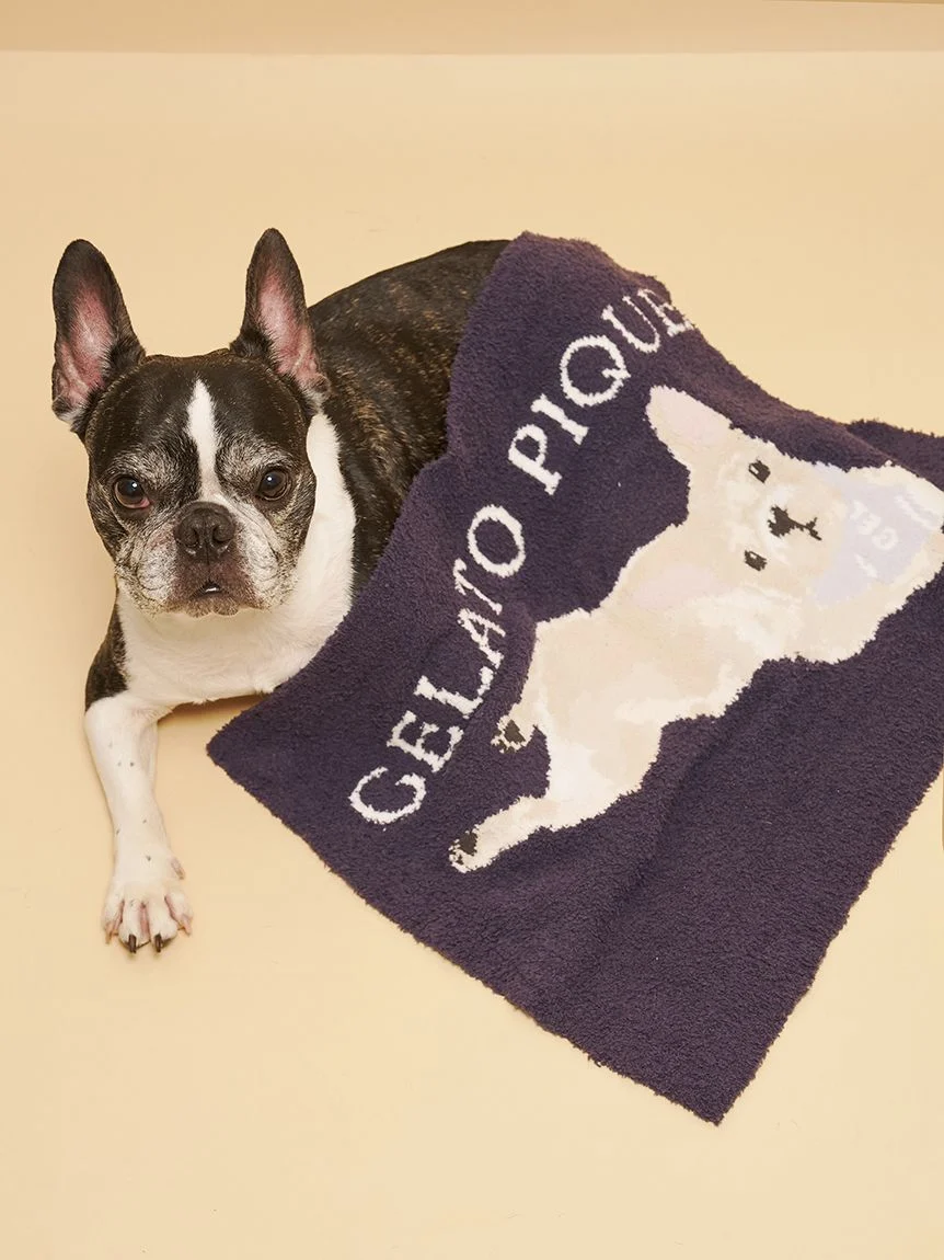 gelato pique(ジェラートピケ)【CAT&DOG】【販路限定商品】ベビモコフレンチブルドッグ柄ブランケット|全3色
