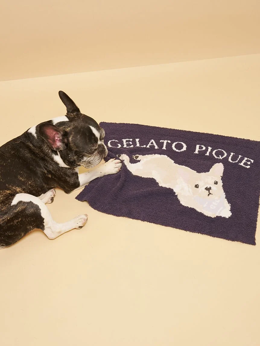 gelato pique(ジェラートピケ)【CAT&DOG】【販路限定商品】ベビモコフレンチブルドッグ柄ブランケット|全3色