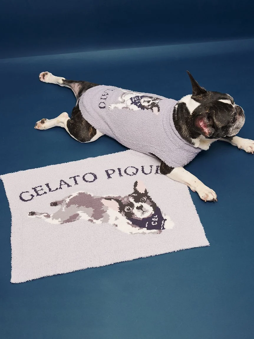 gelato pique(ジェラートピケ)【CAT&DOG】【販路限定商品】ベビモコフレンチブルドッグ柄ブランケット|全3色